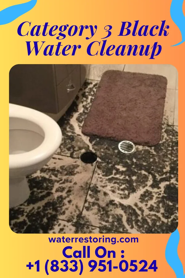 Category 3 Black Water Cleanup in Ellinwood, KS