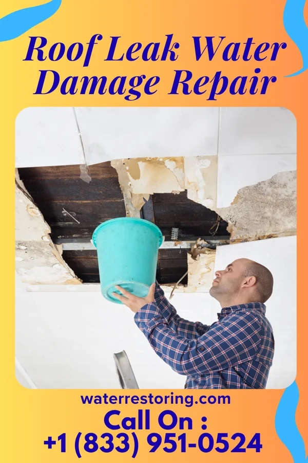 Roof Leak Water Damage Repair in Ellinwood, KS